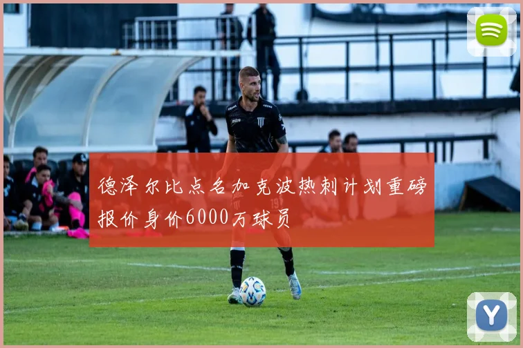 德泽尔比点名加克波热刺计划重磅报价身价6000万球员