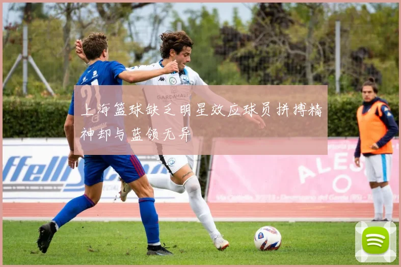 上海篮球缺乏明星效应球员拼搏精神却与蓝领无异