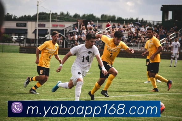 雅博app服务体系