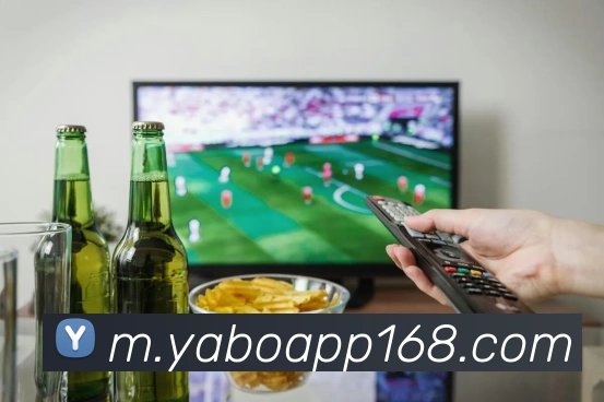 多媒体互动体验